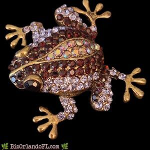 Sparkly Rhinestone Frog Brooch / Pendant Combo Iridescent Aurora Borealis Amber